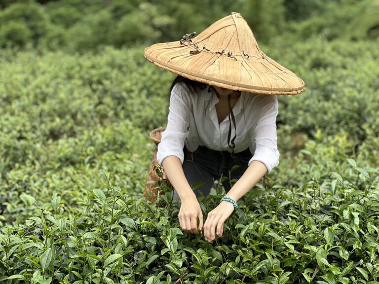 A Faint Hint of Jasmine: Memoirs of a Taiwanese Tea Table